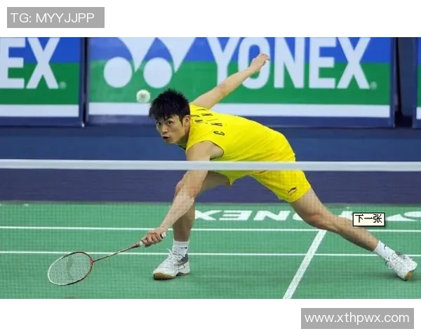 深入分析南京羽毛球队独特进攻战术与比赛策略的全景解读