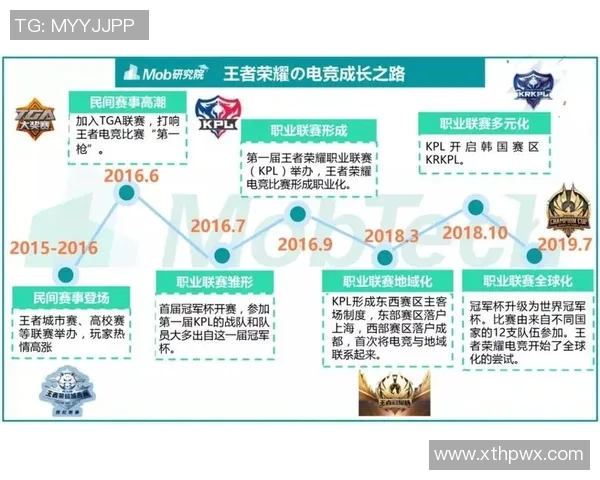 王敏专访：回顾王者荣耀历程_1